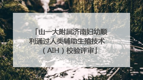 山一大附属济南妇幼顺利通过人类辅助生殖技术（AIH）校验评审