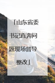 山东省委书记直奔问题现场督导整改
