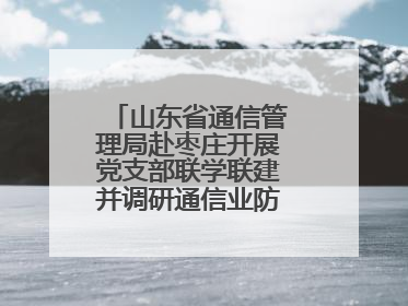 山东省通信管理局赴枣庄开展党支部联学联建并调研通信业防汛准备工作