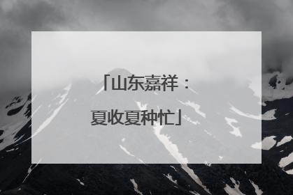 山东嘉祥：夏收夏种忙