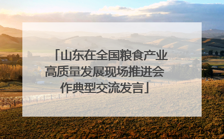 山东在全国粮食产业高质量发展现场推进会作典型交流发言
