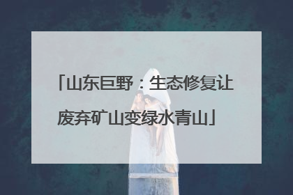 山东巨野：生态修复让废弃矿山变绿水青山