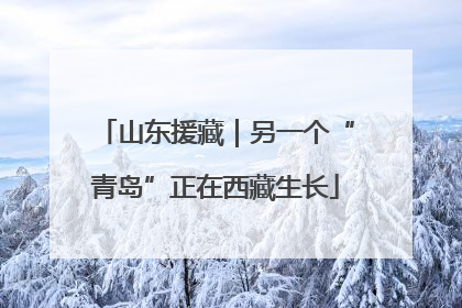 山东援藏｜另一个“青岛”正在西藏生长