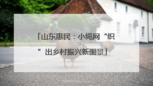 山东惠民：小绳网“织”出乡村振兴新图景
