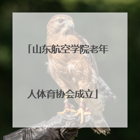 山东航空学院老年人体育协会成立