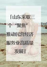 山东采取三个“聚焦” 推动民营经济服务业高质量发展