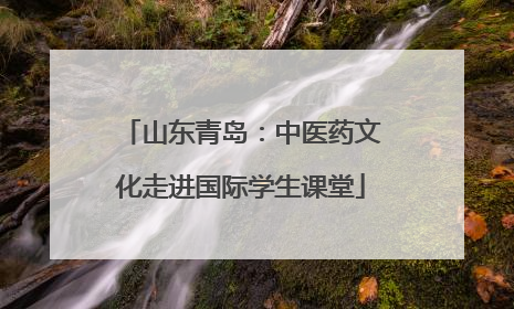 山东青岛：中医药文化走进国际学生课堂