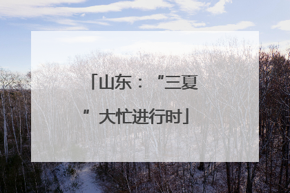 山东：“三夏”大忙进行时