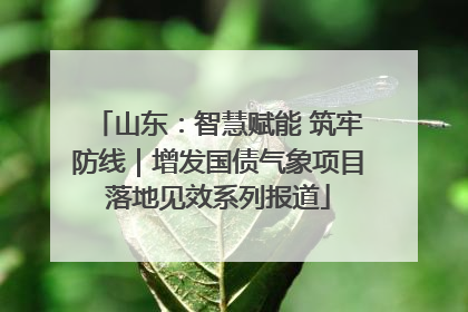 山东：智慧赋能 筑牢防线｜增发国债气象项目落地见效系列报道