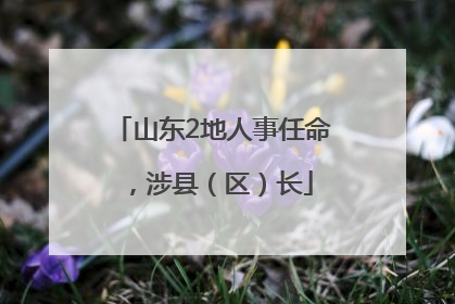 山东2地人事任命，涉县（区）长