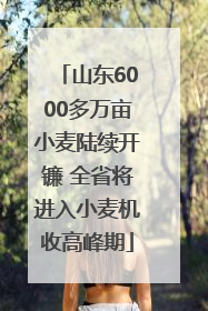 山东6000多万亩小麦陆续开镰 全省将进入小麦机收高峰期