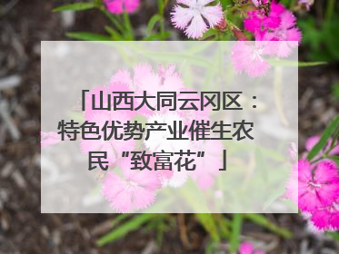 山西大同云冈区：特色优势产业催生农民“致富花”