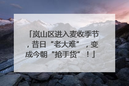 岚山区进入麦收季节，昔日“老大难”，变成今朝“抢手货”！