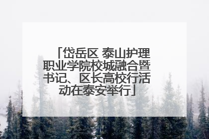 岱岳区 泰山护理职业学院校城融合暨书记、区长高校行活动在泰安举行