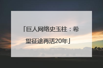 巨人网络史玉柱：希望征途再活20年
