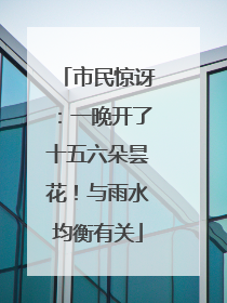 市民惊讶：一晚开了十五六朵昙花！与雨水均衡有关