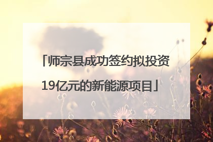 师宗县成功签约拟投资19亿元的新能源项目