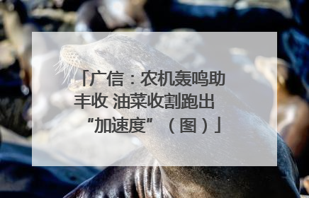 广信：农机轰鸣助丰收 油菜收割跑出“加速度”（图）