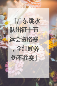 广东跳水队出征十五运会资格赛，全红婵养伤不参赛