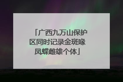 广西九万山保护区同时记录金斑喙凤蝶雌雄个体