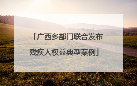 广西多部门联合发布残疾人权益典型案例