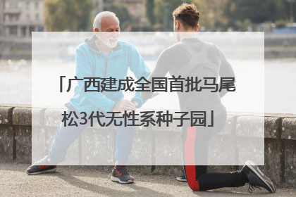 广西建成全国首批马尾松3代无性系种子园
