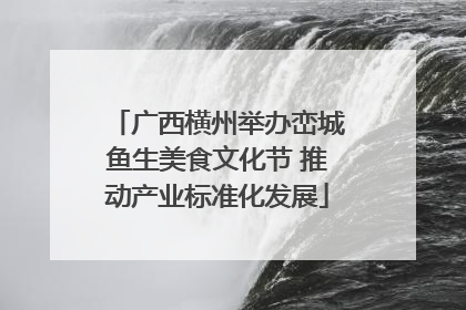 广西横州举办峦城鱼生美食文化节 推动产业标准化发展