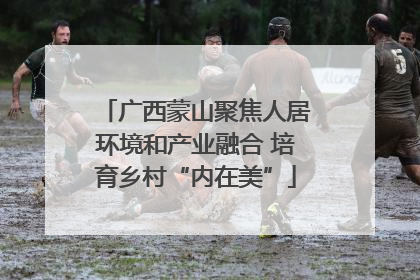 广西蒙山聚焦人居环境和产业融合 培育乡村“内在美”