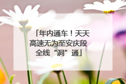 年内通车！天天高速无为至安庆段全线“洞”通