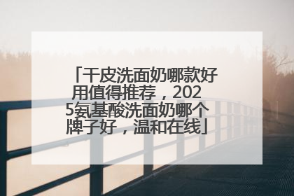 干皮洗面奶哪款好用值得推荐，2025氨基酸洗面奶哪个牌子好，温和在线