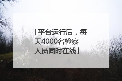 平台运行后，每天4000名检察人员同时在线