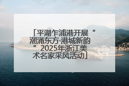 平湖乍浦港开展“潮涌东方·港城新韵”2025年浙江美术名家采风活动