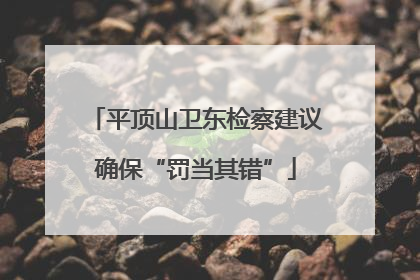 平顶山卫东检察建议确保“罚当其错”