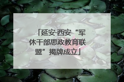 延安·西安“军休干部思政教育联盟”揭牌成立