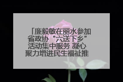 廉毅敏在丽水参加省政协“六送下乡”活动集中服务 凝心聚力增进民生福祉推进共同富裕