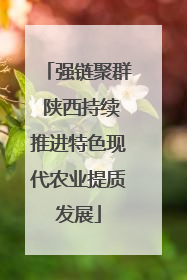 强链聚群 陕西持续推进特色现代农业提质发展