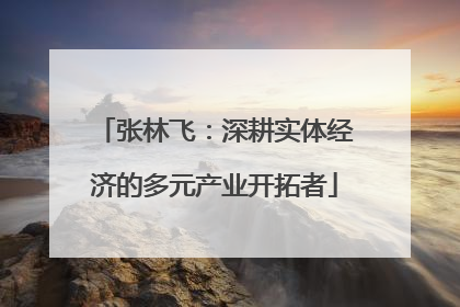 张林飞：深耕实体经济的多元产业开拓者