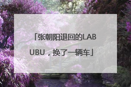 张朝阳退回的LABUBU，换了一辆车