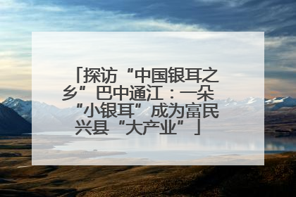 探访“中国银耳之乡”巴中通江：一朵“小银耳”成为富民兴县“大产业”