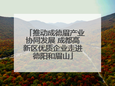 推动成德眉产业协同发展 成都高新区优质企业走进德阳和眉山