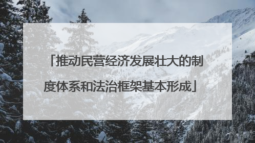 推动民营经济发展壮大的制度体系和法治框架基本形成