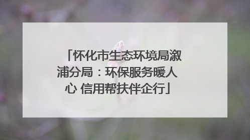 怀化市生态环境局溆浦分局：环保服务暖人心 信用帮扶伴企行