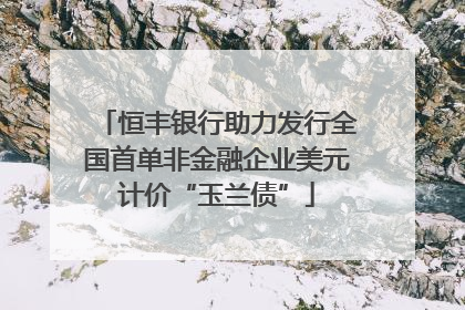 恒丰银行助力发行全国首单非金融企业美元计价“玉兰债”
