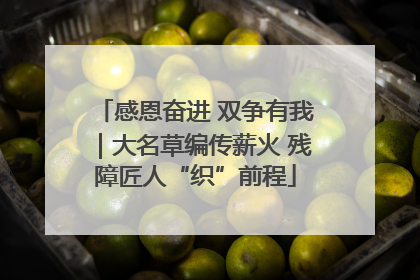 感恩奋进 双争有我｜大名草编传薪火 残障匠人“织”前程
