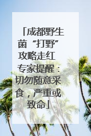 成都野生菌“打野”攻略走红 专家提醒：切勿随意采食，严重或致命