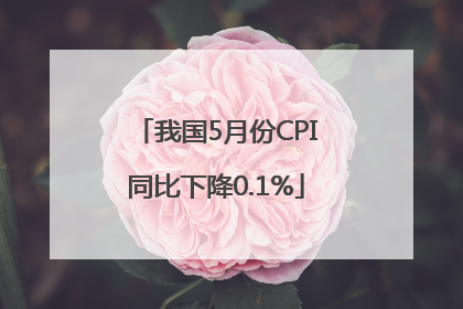 我国5月份CPI同比下降0.1%