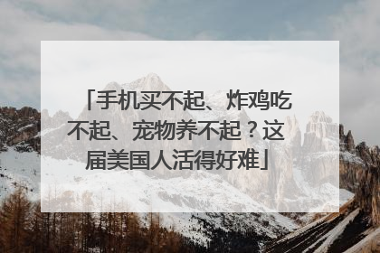 手机买不起、炸鸡吃不起、宠物养不起？这届美国人活得好难