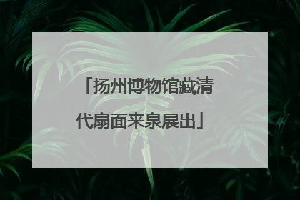 扬州博物馆藏清代扇面来泉展出