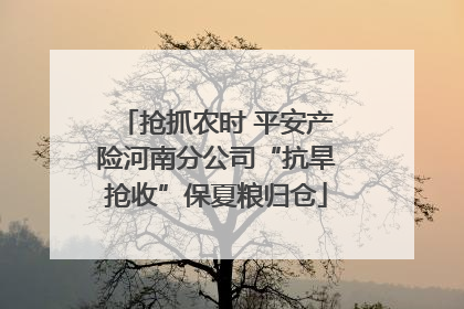 抢抓农时 平安产险河南分公司“抗旱抢收”保夏粮归仓