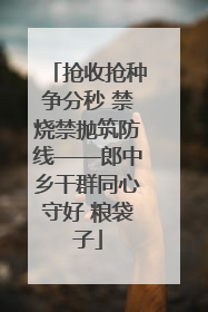 抢收抢种争分秒 禁烧禁抛筑防线——郎中乡干群同心守好 粮袋子
